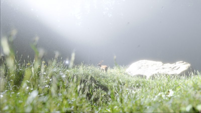 Stag Amidst Nature Blender 3D