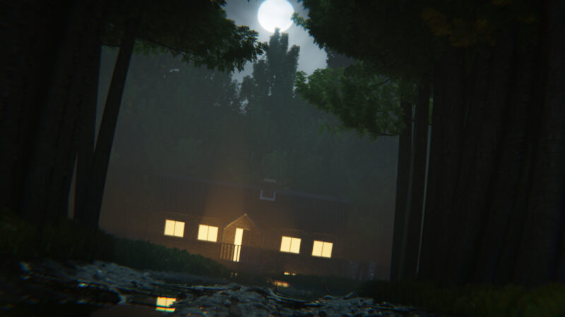 House Alone